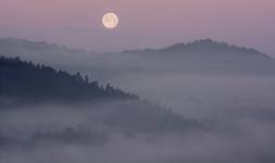 Pieniny