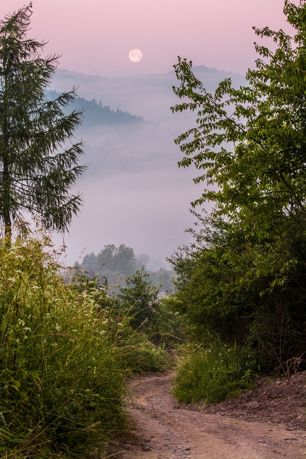 Pieniny