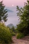 Pieniny