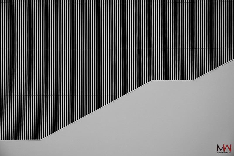 mswilk