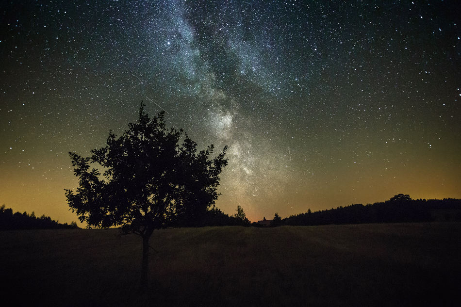 The Stars We Are