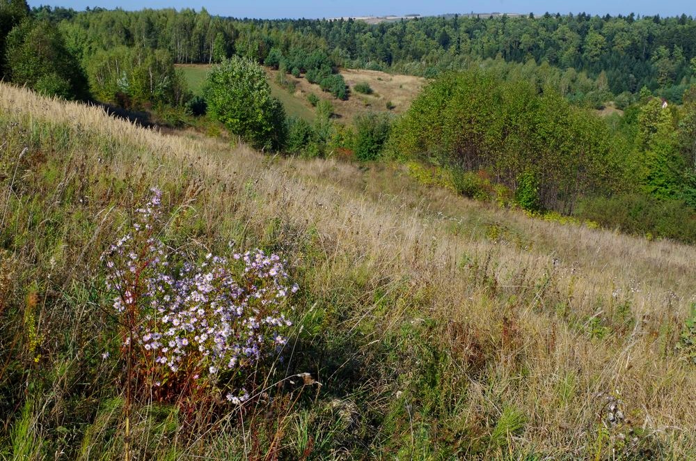 Jesień