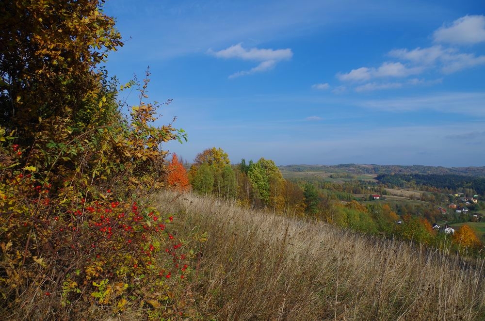 Jesień