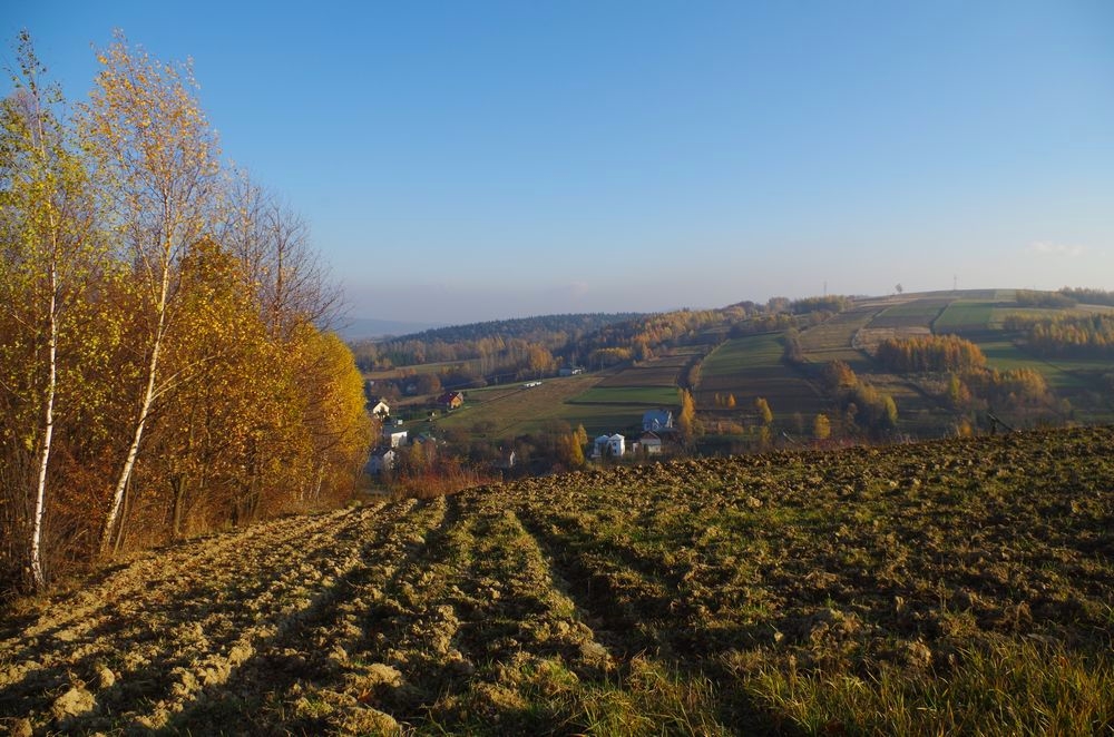 Jesień