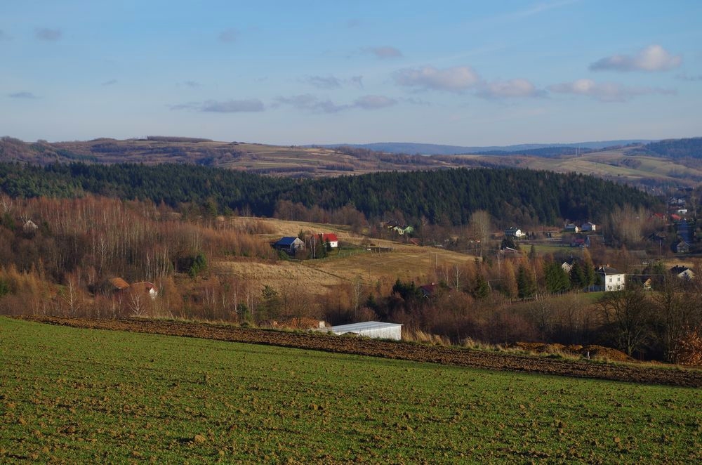 Zima (bezśnieżna)