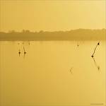 Pink Lake