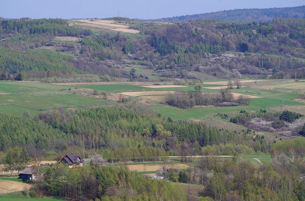 Wiosna