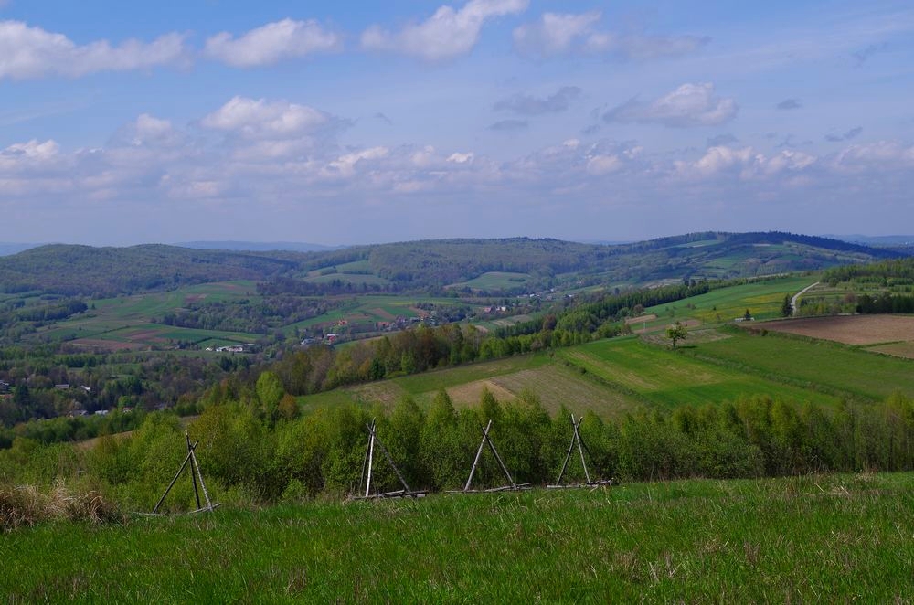 Wiosna