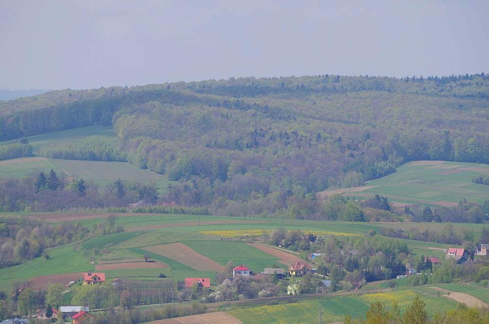 Wiosna