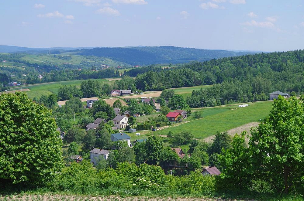 Wiosna