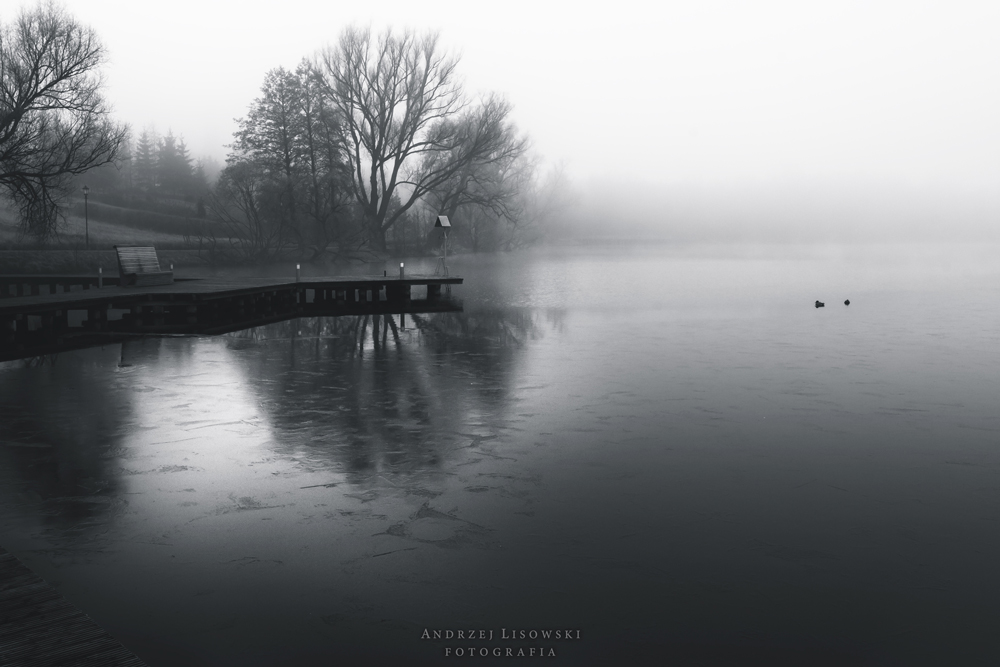Sound of Silence