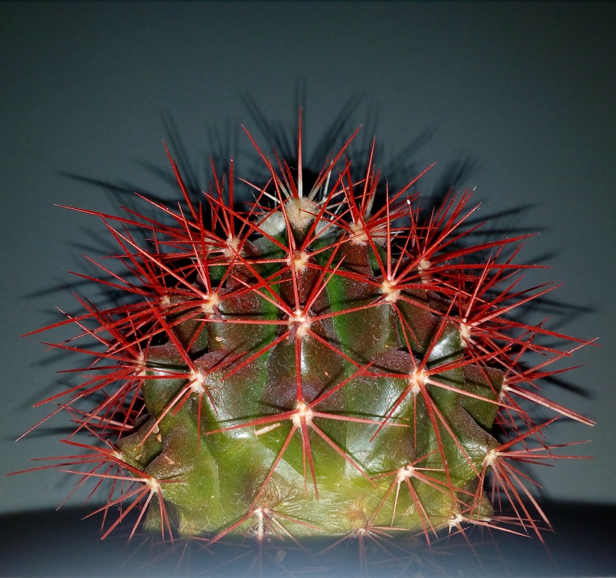 red
