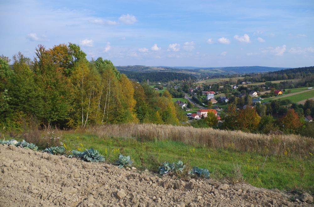 Jesień