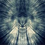 Tunel