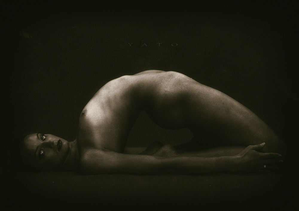 https://www.facebook.com/yatoyatoyato/photos_stream