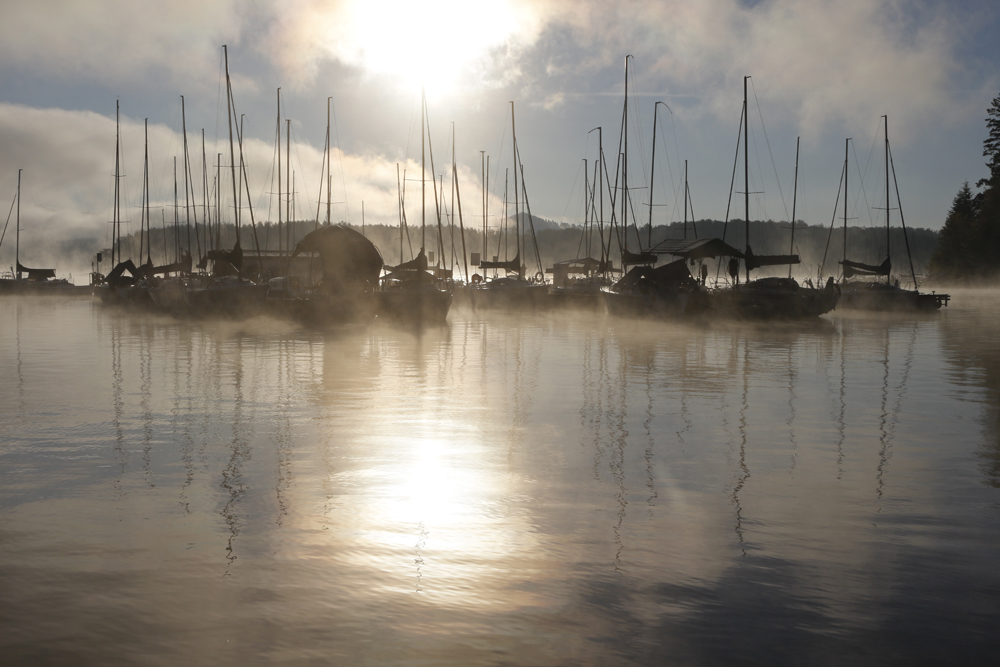 fog