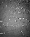 spacer