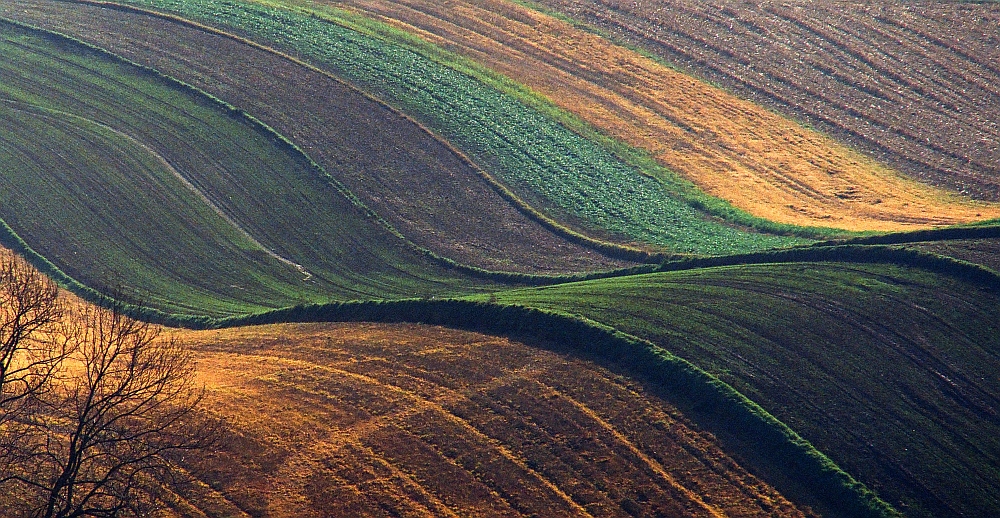 Opolszczyzna