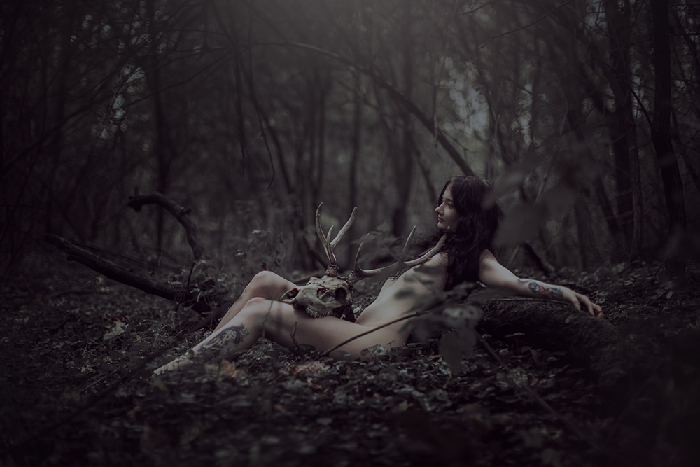 foxphotography