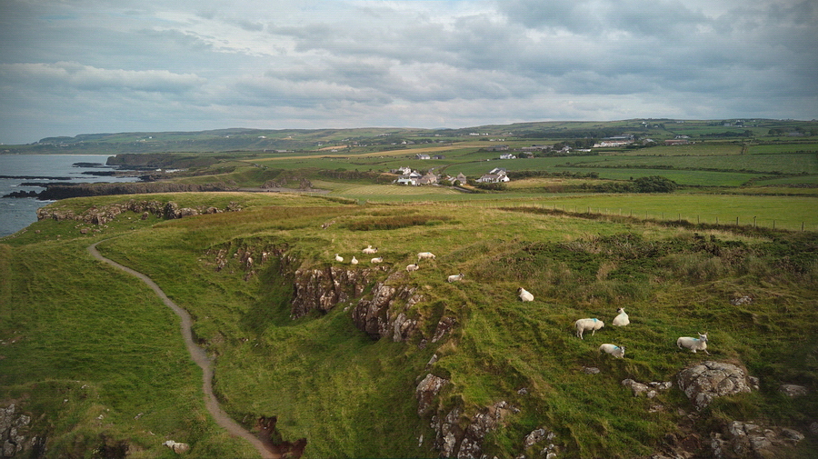 atenytom