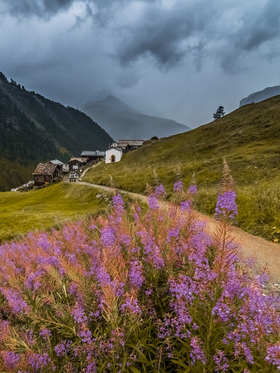 SWISS...