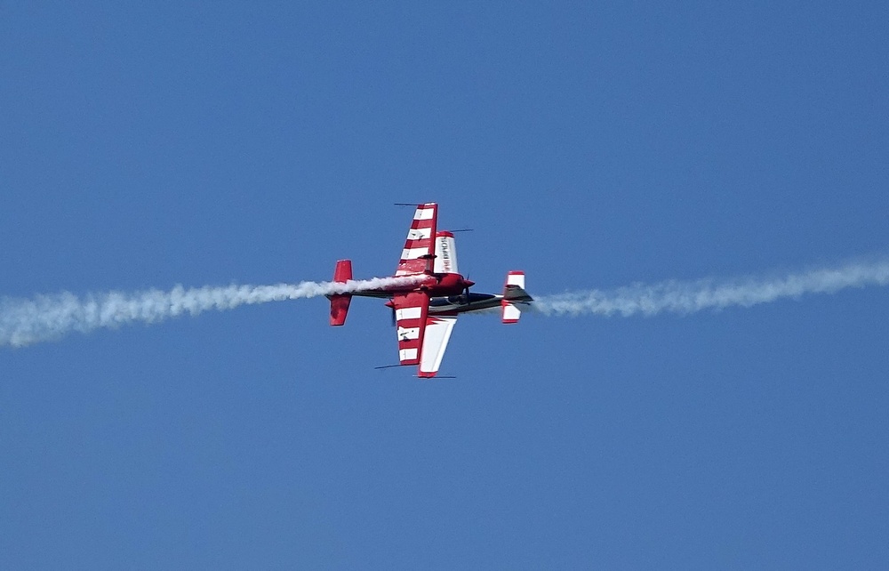 husky1