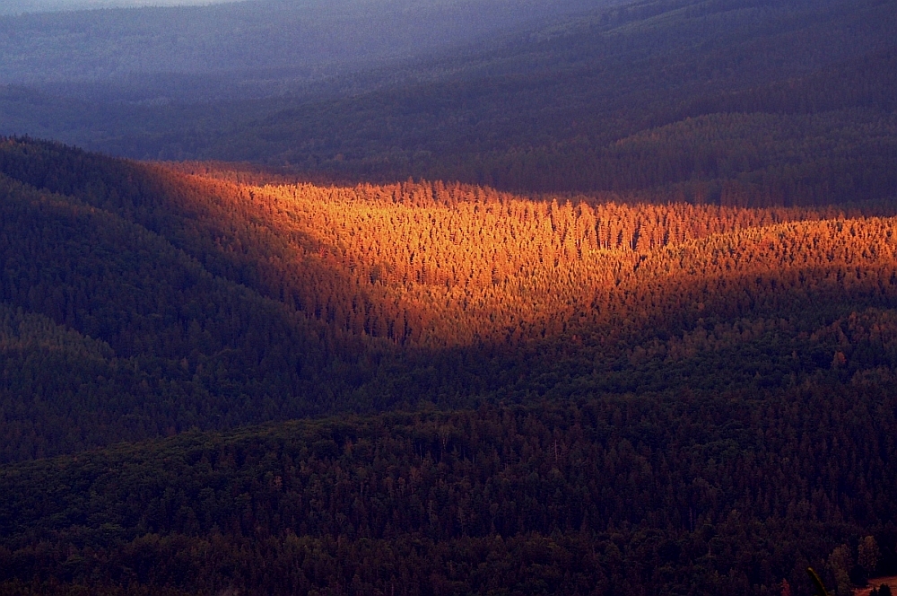 Karkonosze
