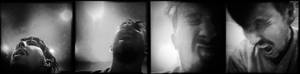 disturbed