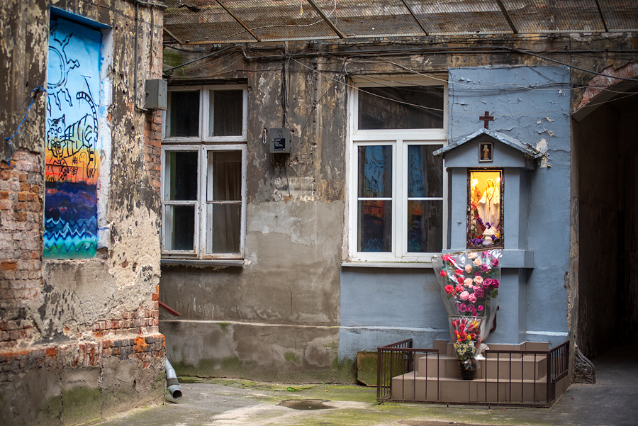 tomek77