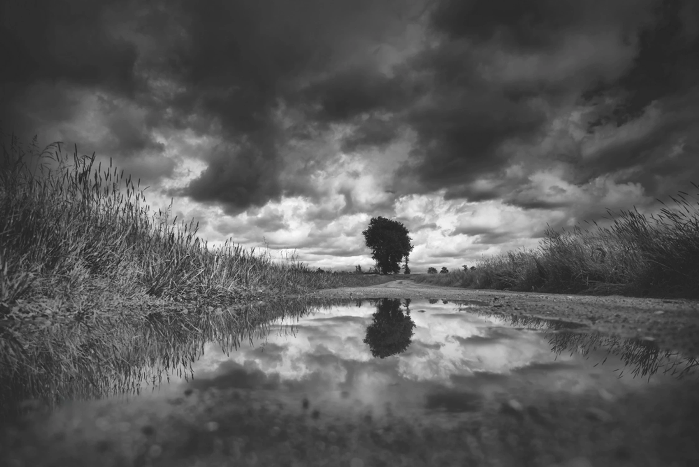 _DSC5794a