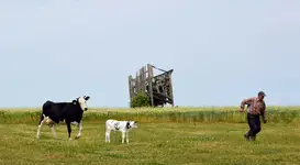 Przemijanie