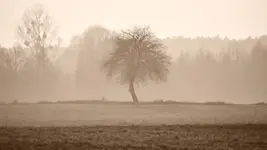Więcej jesieni