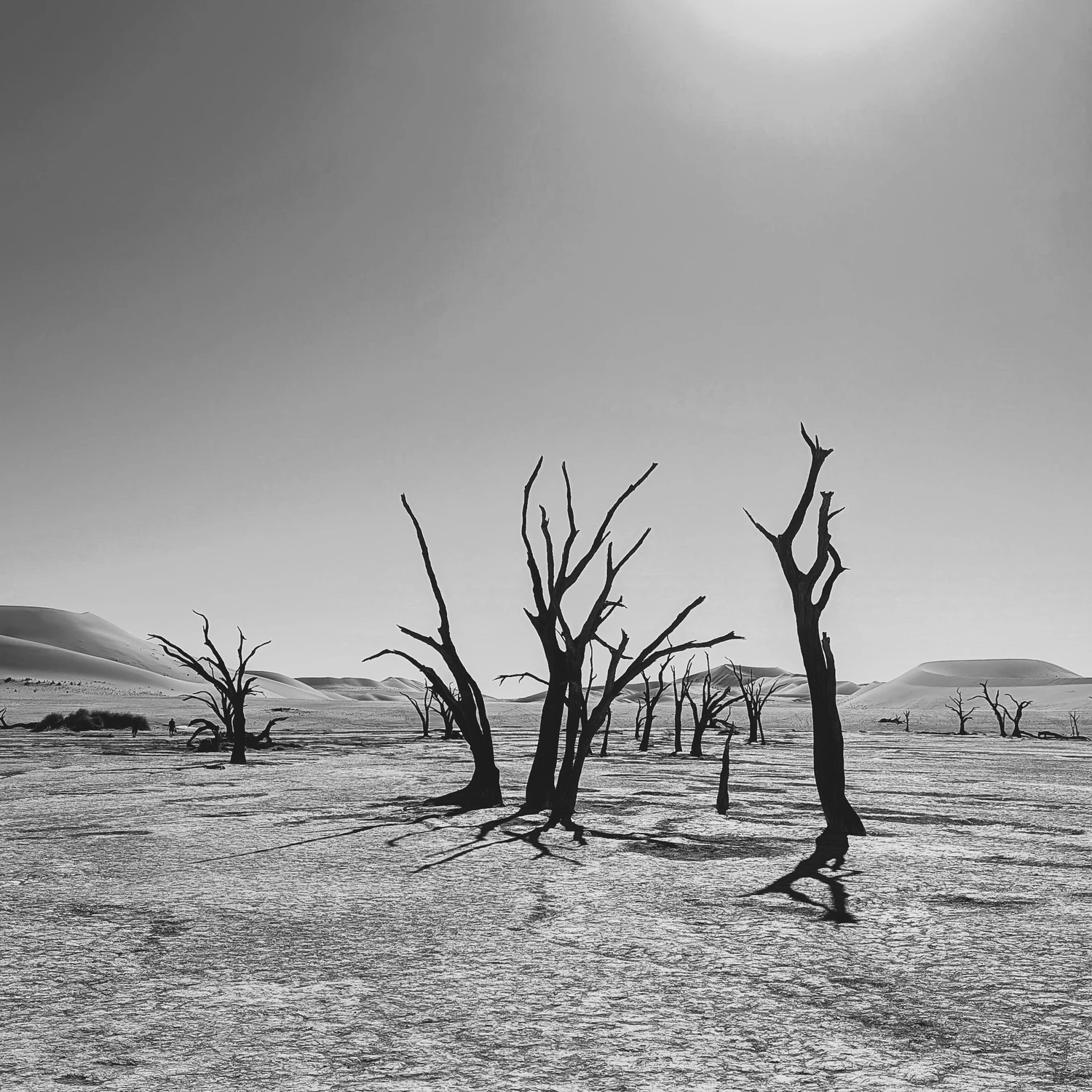 Sossusvlei
