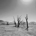 Sossusvlei