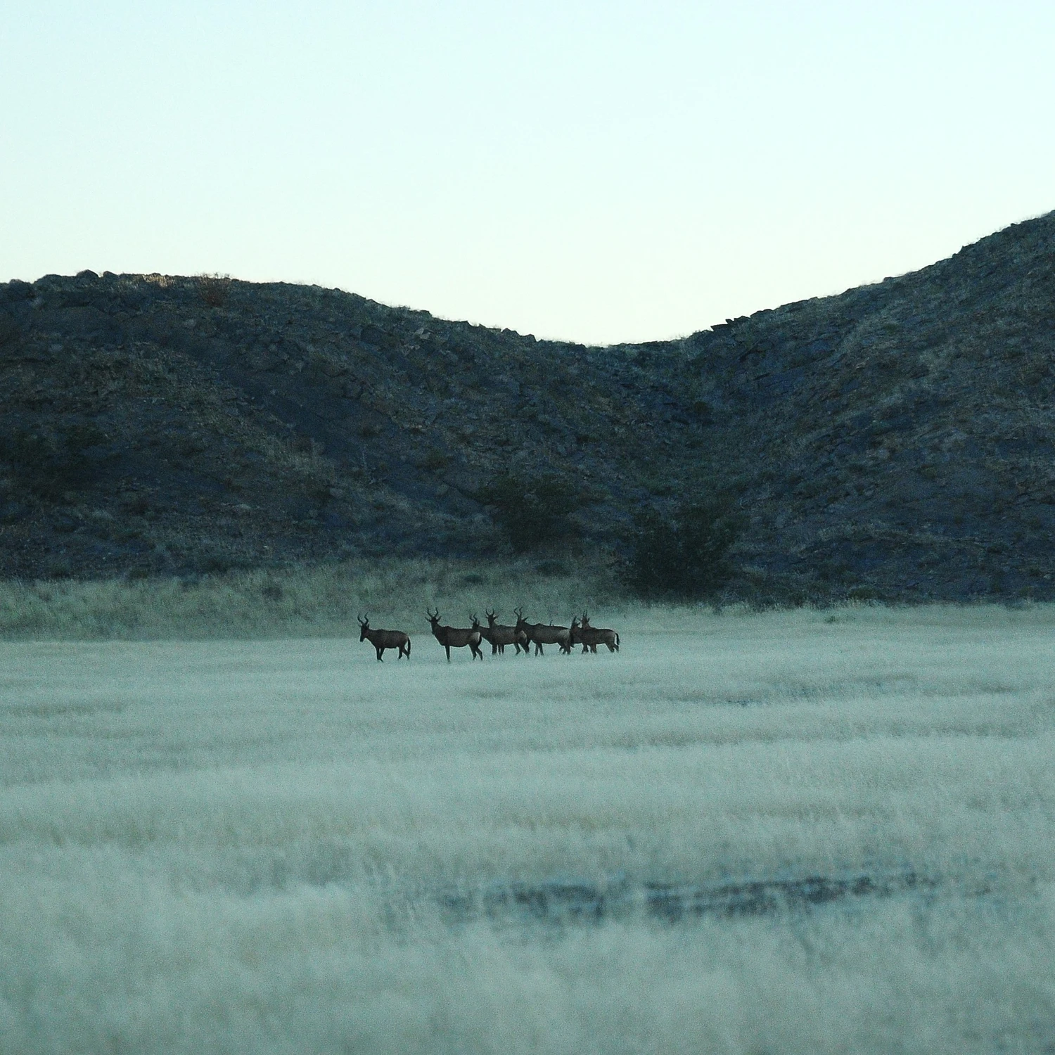 wieczór w Twyfelfontein