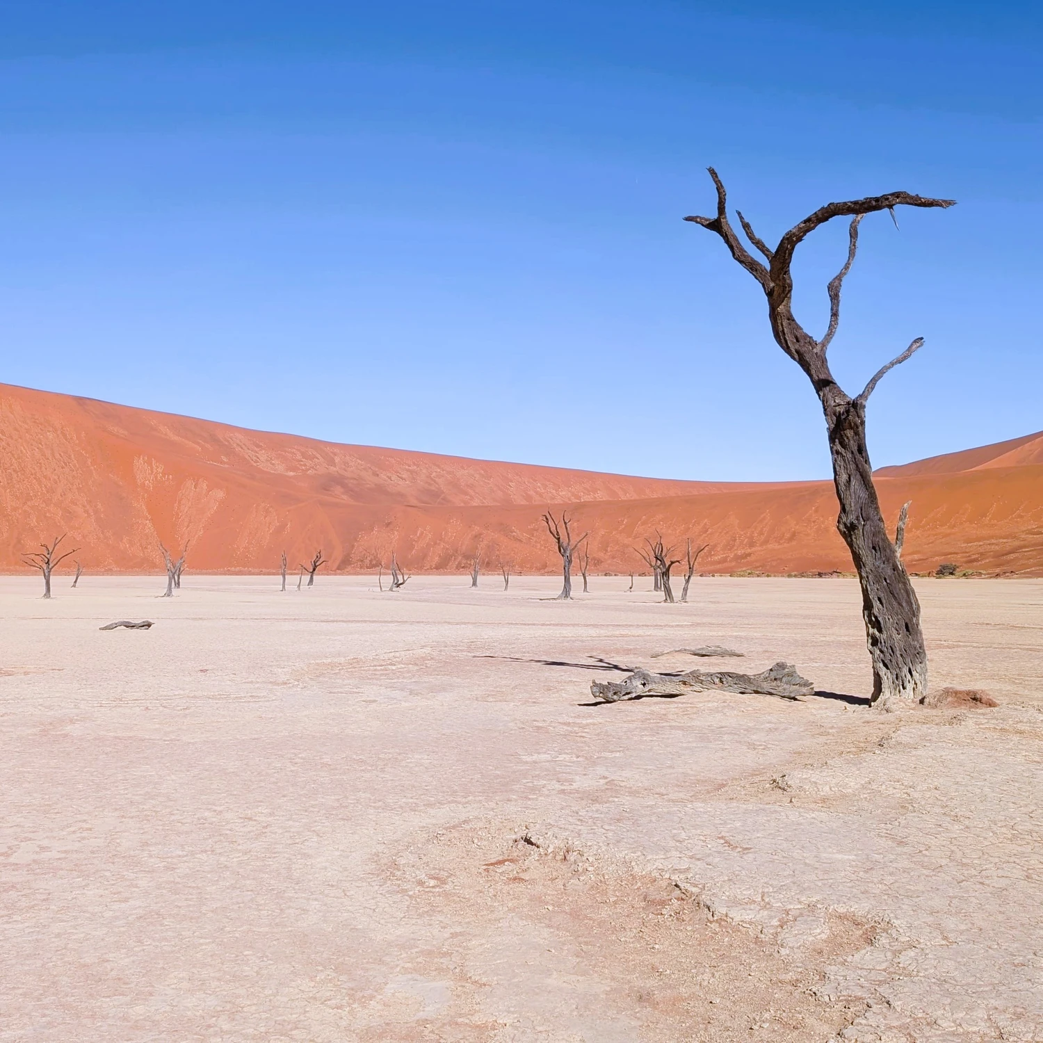 Sossusvlei 