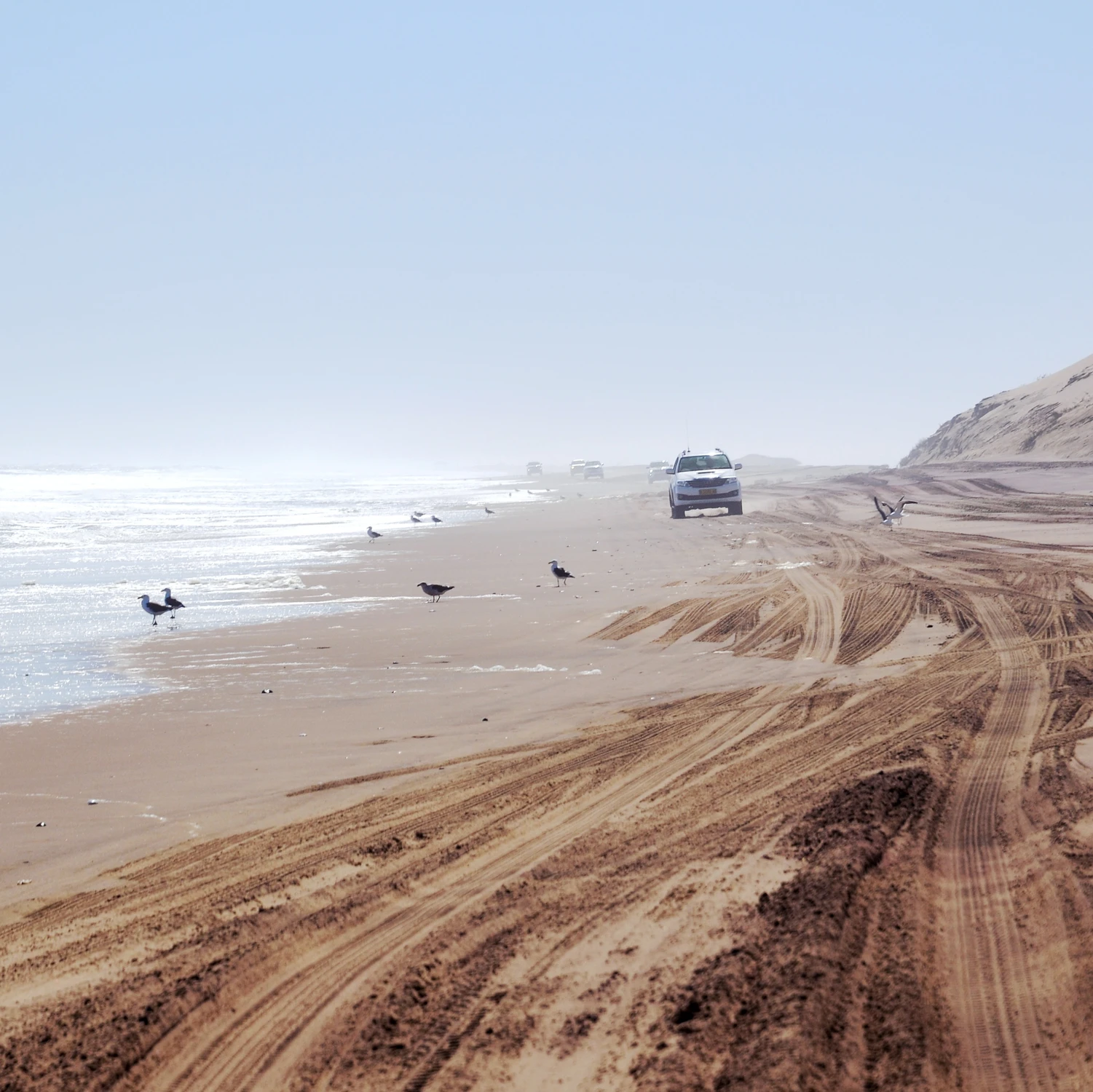 Sandwich Harbour