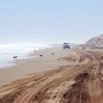 Sandwich Harbour