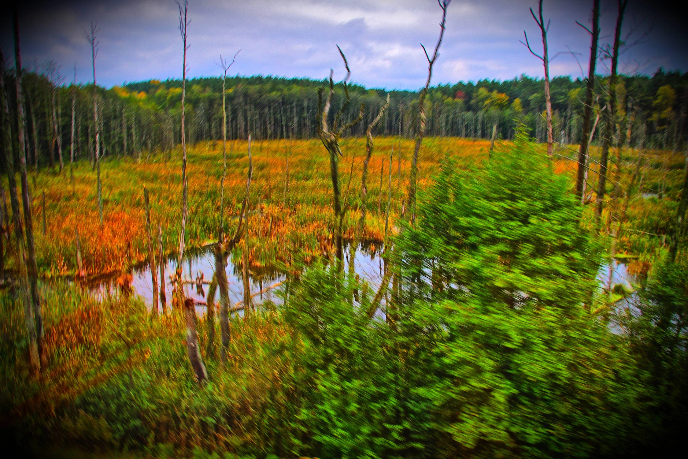 ___Podlasie - Podlaskie -  