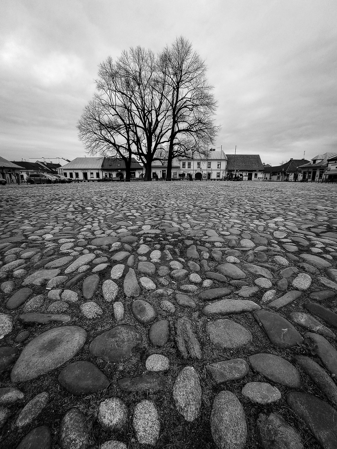 Rynek