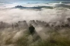 poranek