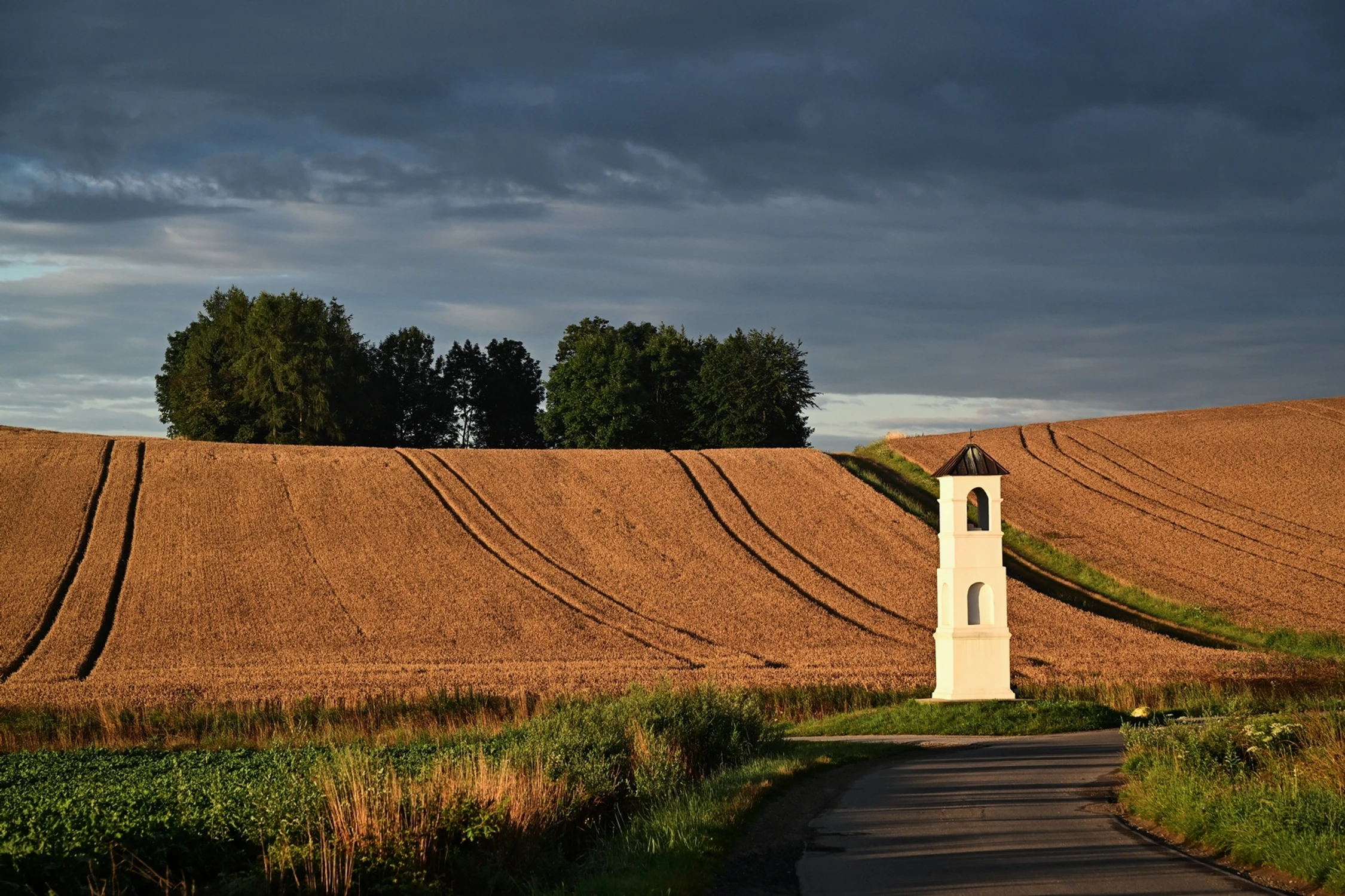 dzień się  budzi