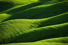 Tuscany 