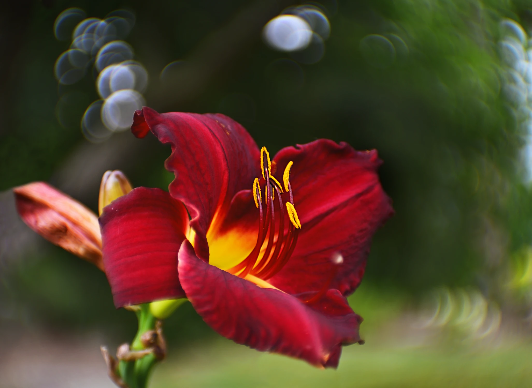 FLOWER POWER
