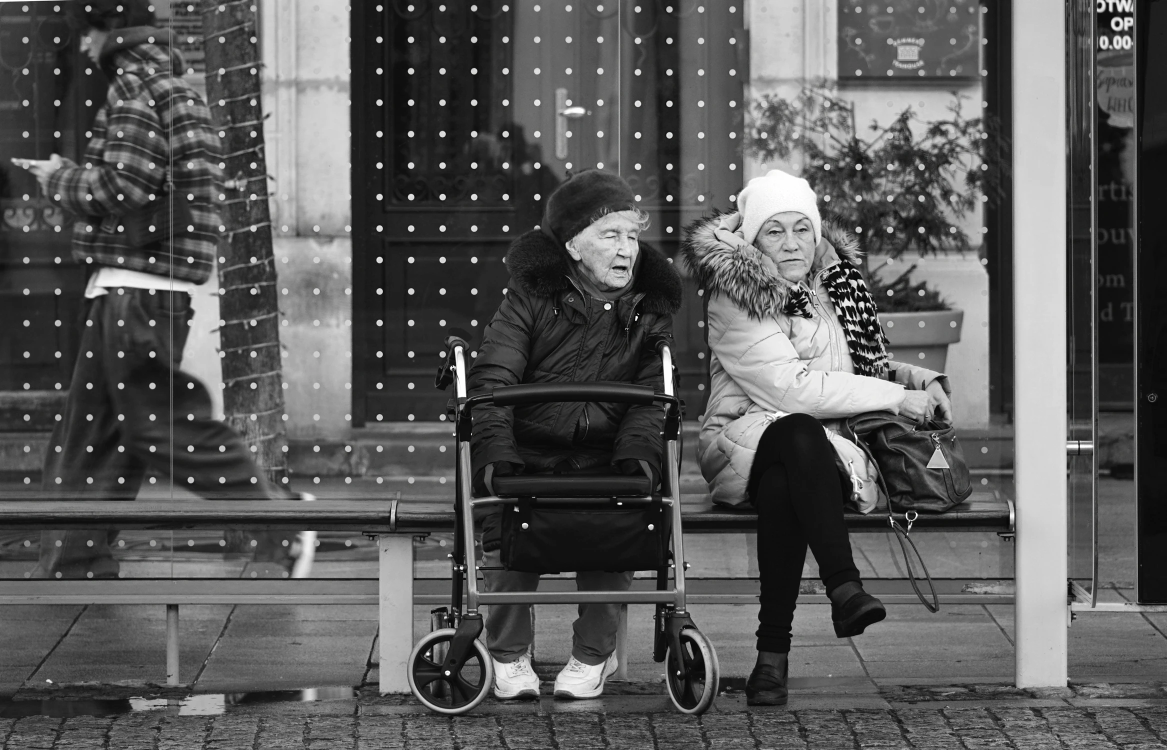 NO I MÓWIĘ CI, KRYNIA . . .