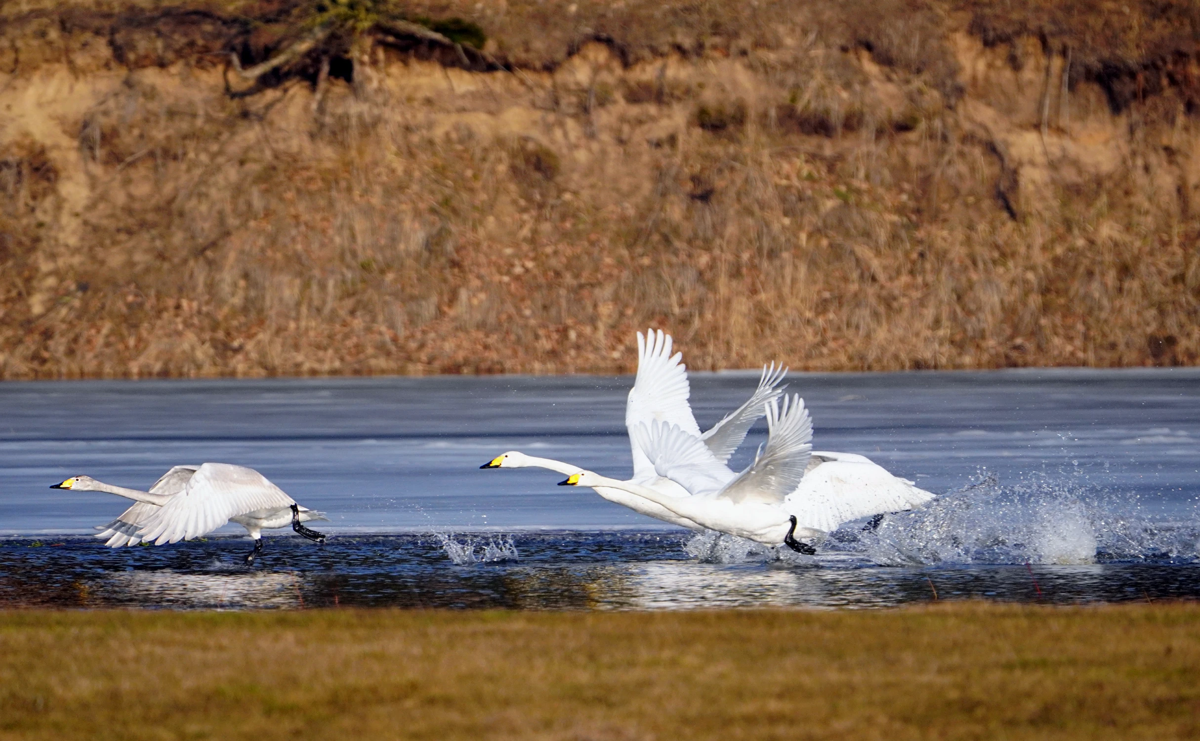 NADBUŻAŃSKA SZTAFETA