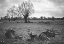 NADWARCIAŃSKI PEJZAŻ