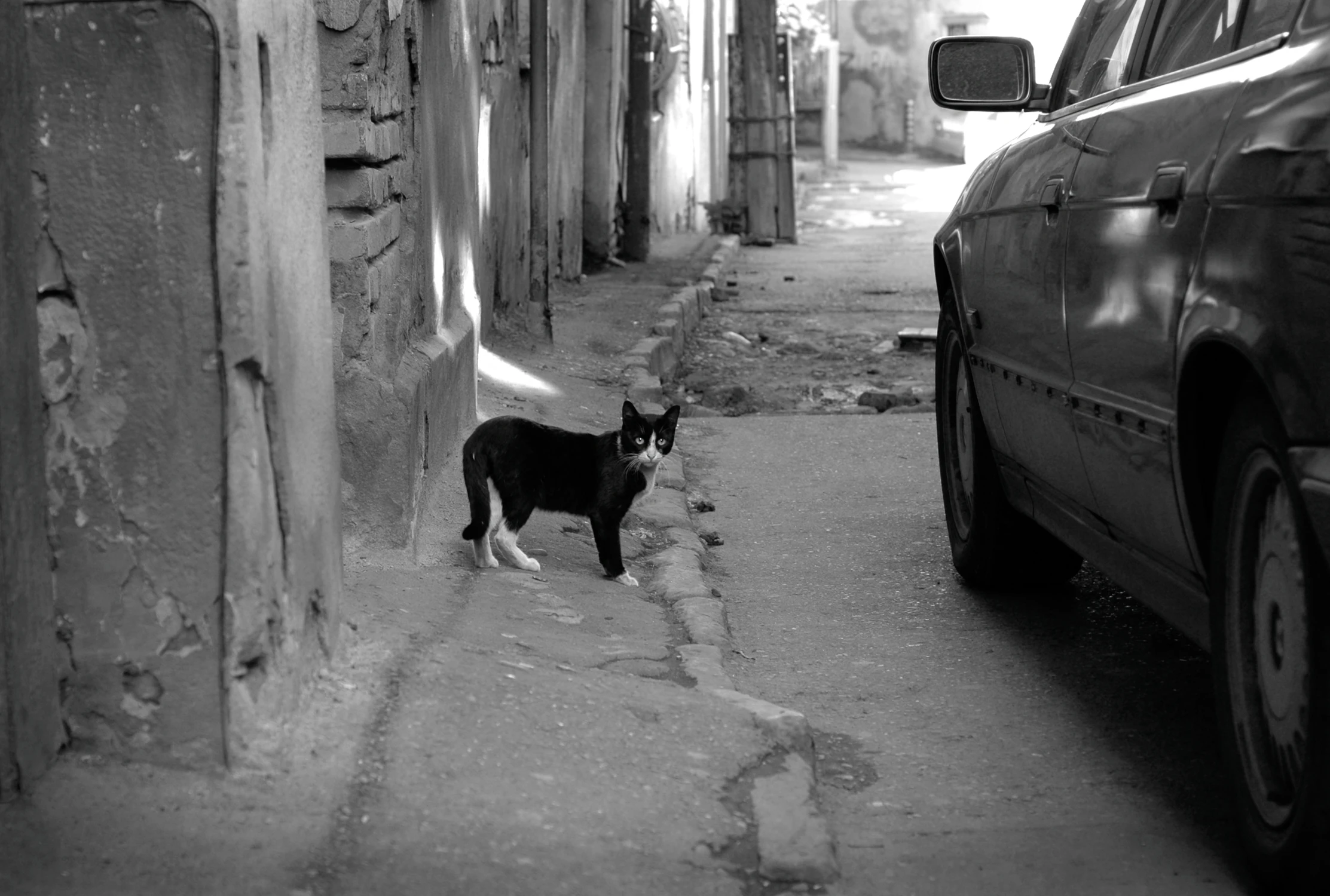 DALEJ NIE PÓJDZIESZ . . .