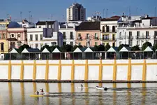 TRIANA Z SAMEGO RANA