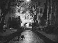 W BERGAMO PO PÓŁNOCY